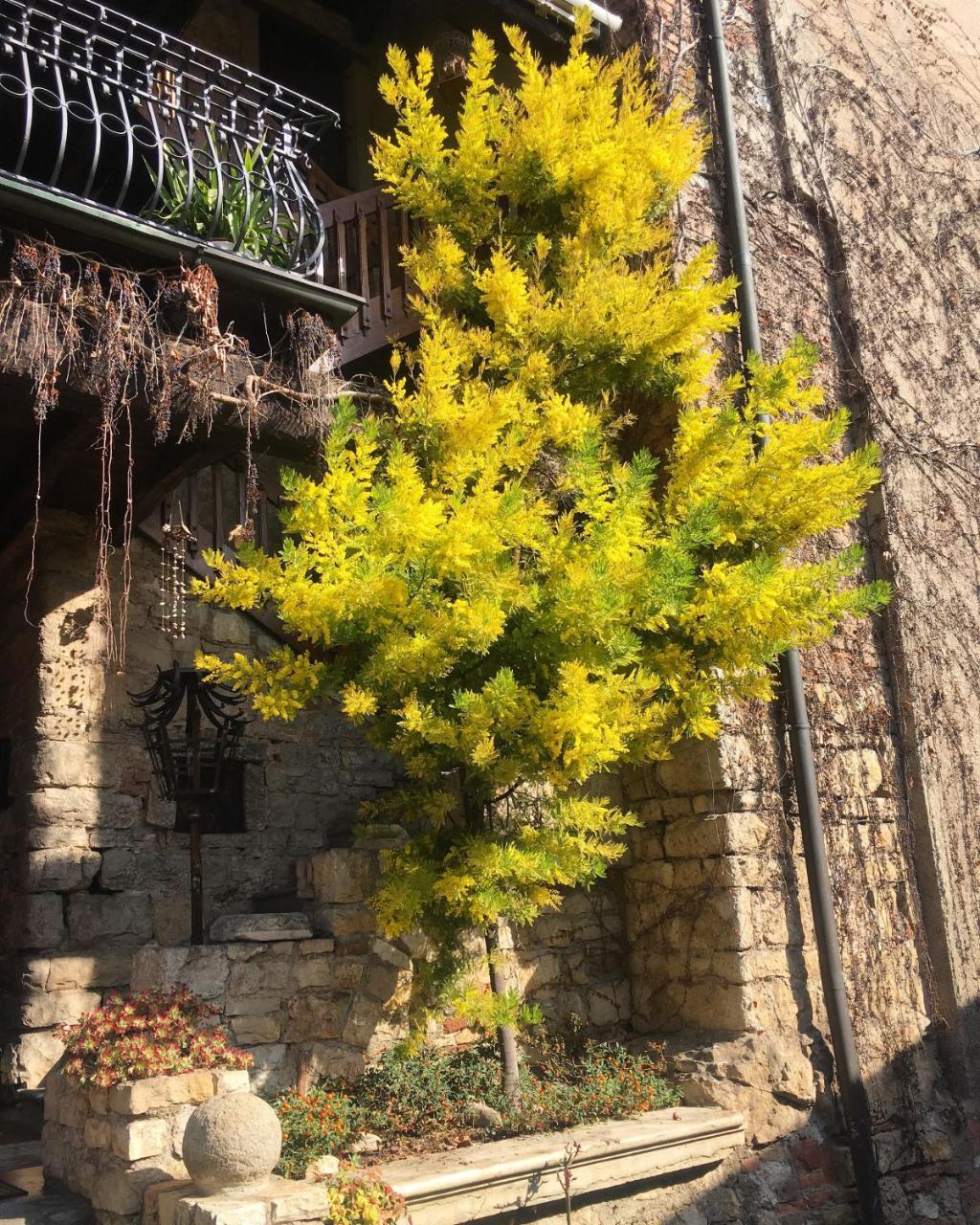Torre De Salis Bed & Breakfast Gussago Luaran gambar